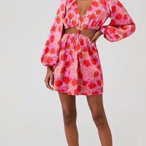 Show Me Your MuMu Pink Floral Cutout Mini Dress